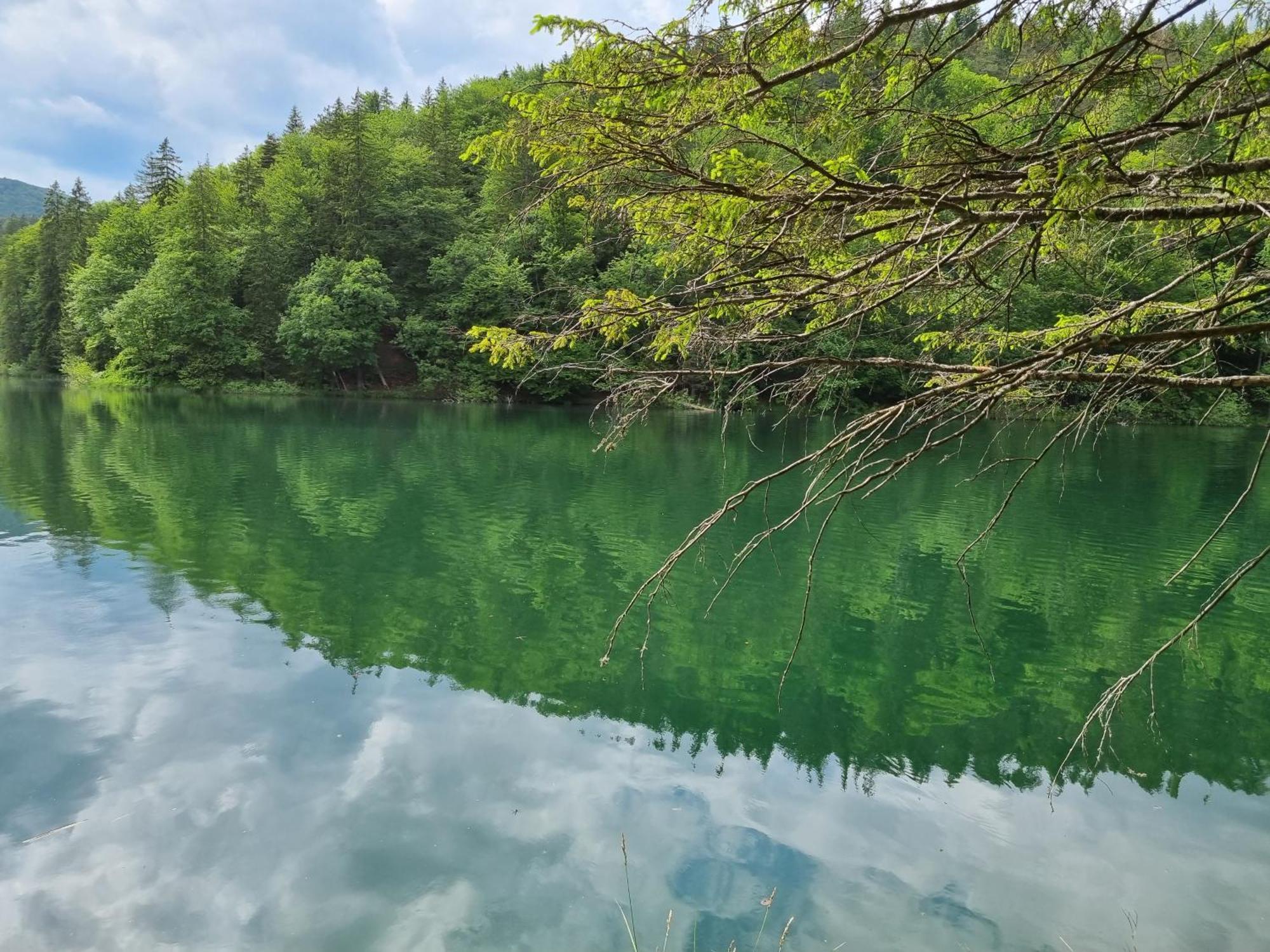 Villa Lady Di Plitvice Vrhovine Kültér fotó