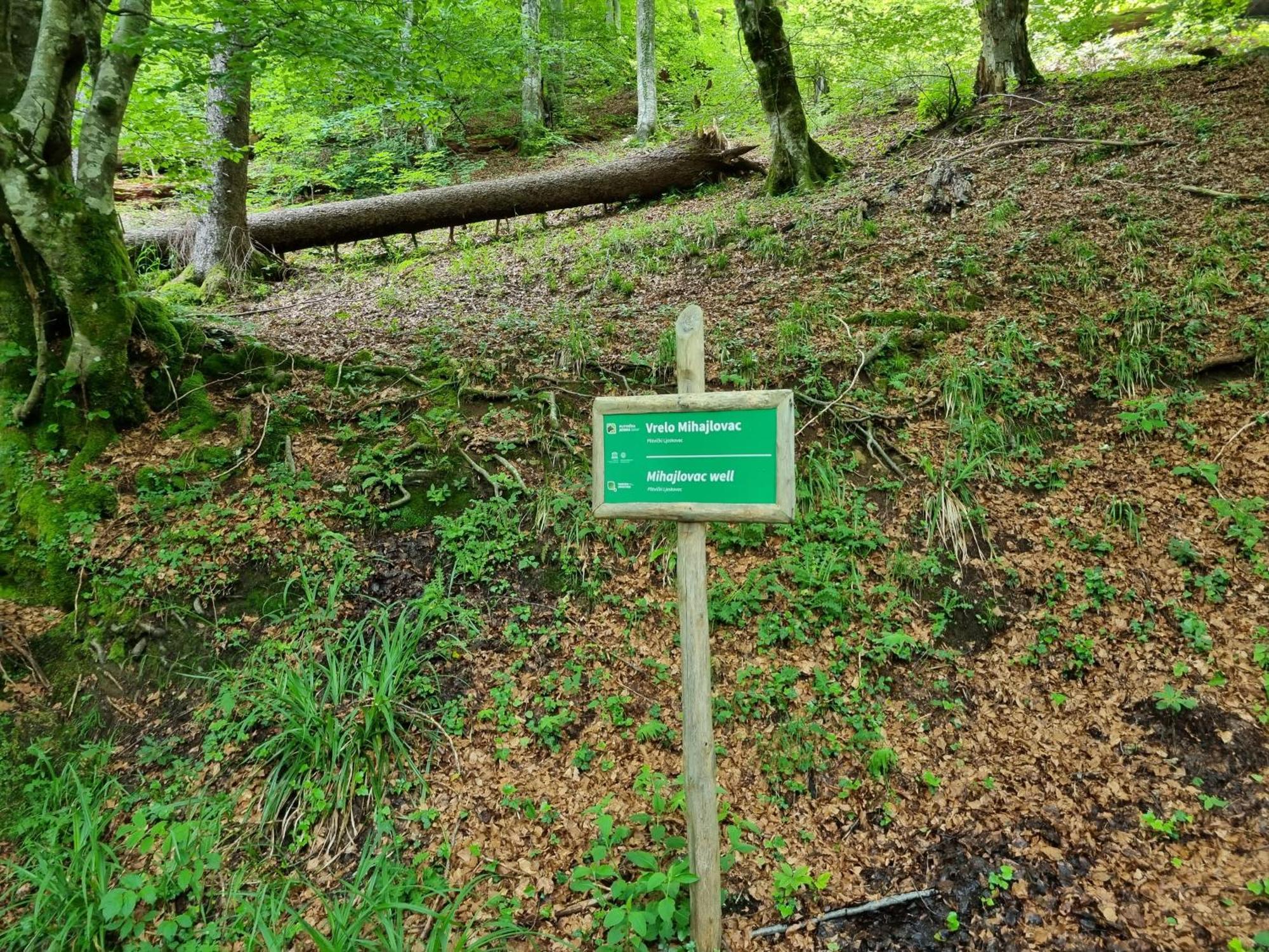 Villa Lady Di Plitvice Vrhovine Kültér fotó